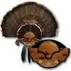 BeardMaster Turkey Mounting Kit
