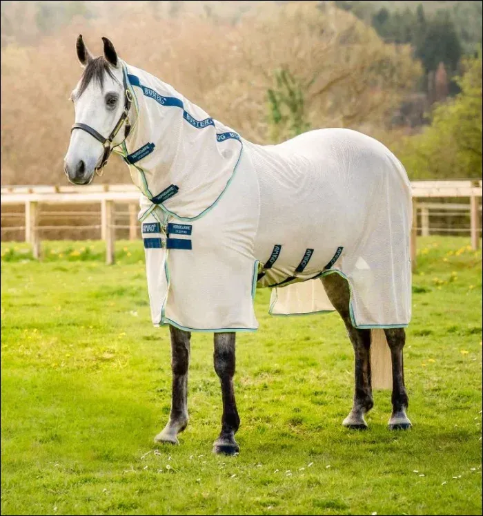 Amigo Bug Buster Fly Sheet Chalk/Navy & Azure Haze