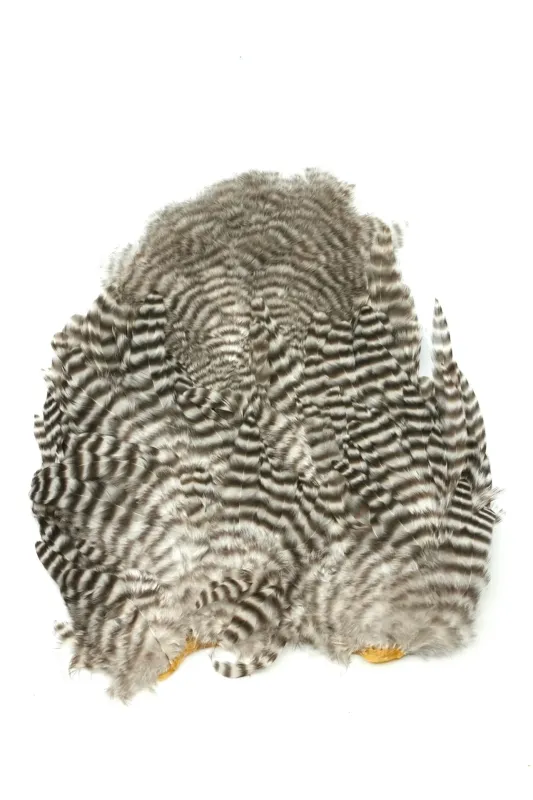 Whiting - Rooster Saddle SH/C