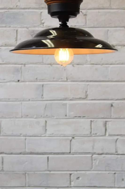 Barn Close To Ceiling Buoyant