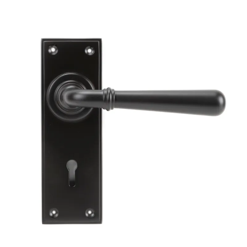 Aged Bronze Newbury Lever Lock Place | From Anvil