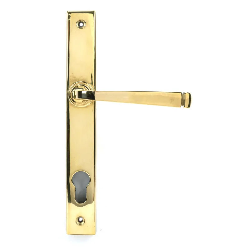 Glossy Brass Avon Slimline Lever Espag. Lock Set | From Anvil