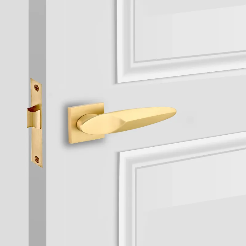 Keyless Entry Perth Passage Interior Door Adjust - Lever Door Handle