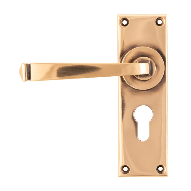 Polished Bronze Avon Lever Euro Lock Place | From Anvil