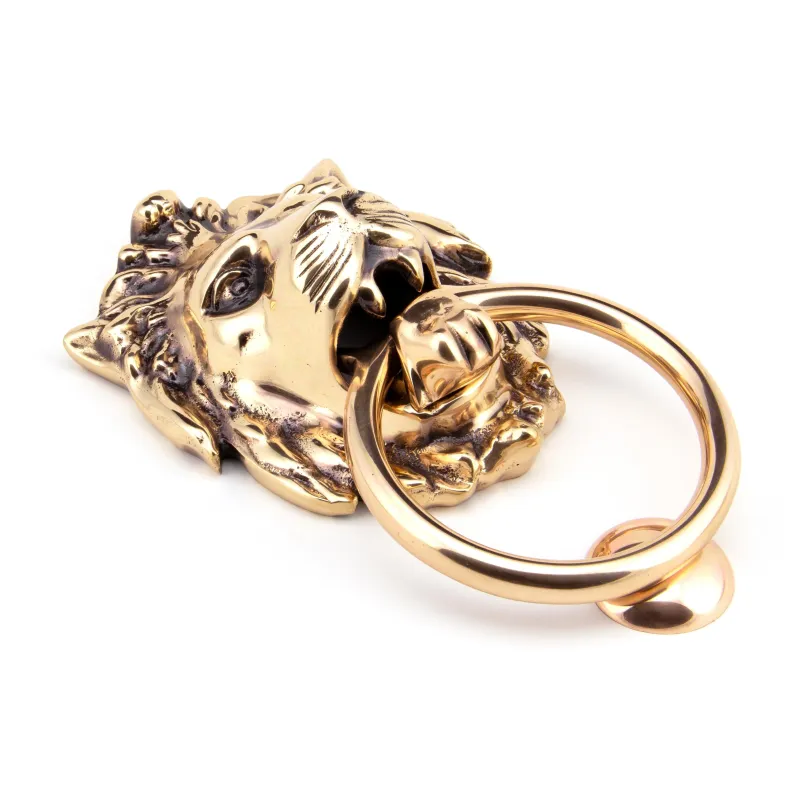 Polished Rustic gold Lion Head Door Knocker | From Anvil 2 Keys