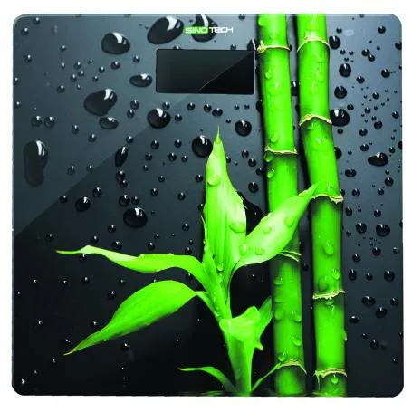 BILANCIA PESAPERSONE ELETTRON. MOD.GD035