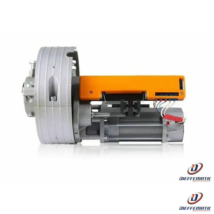 Serranda Automatica Motore Elettrico 230v 220v Universale Saracinesca 100kg Dfm