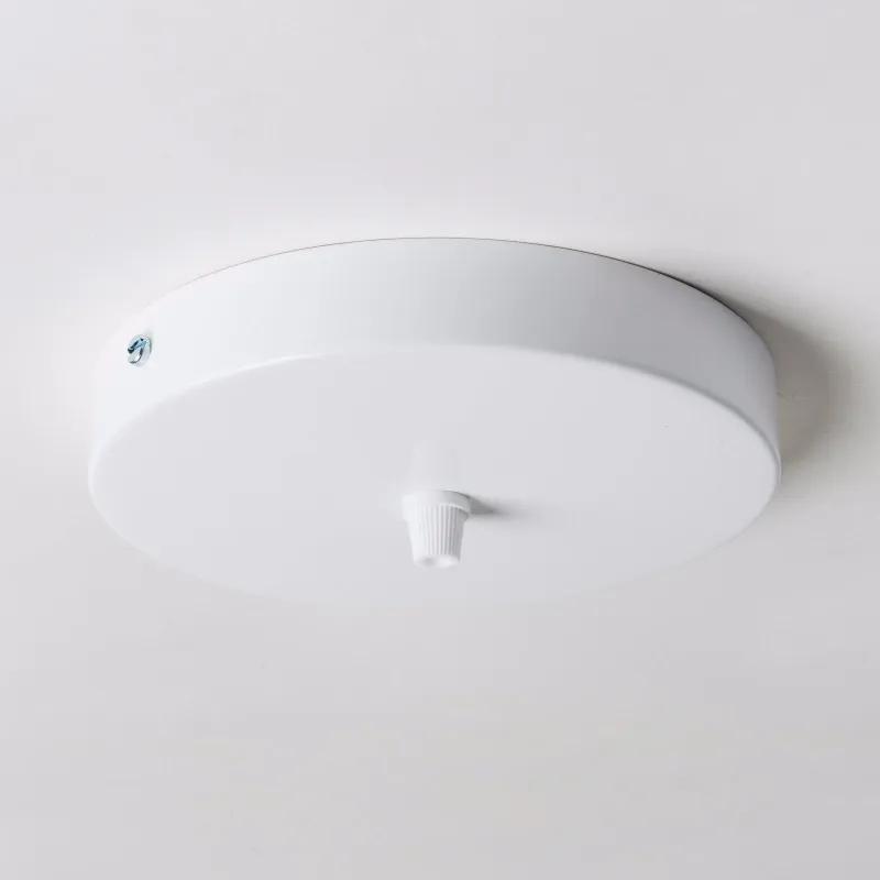 White Steel Ceiling Rose Roomy 160mm - All Outlet Options