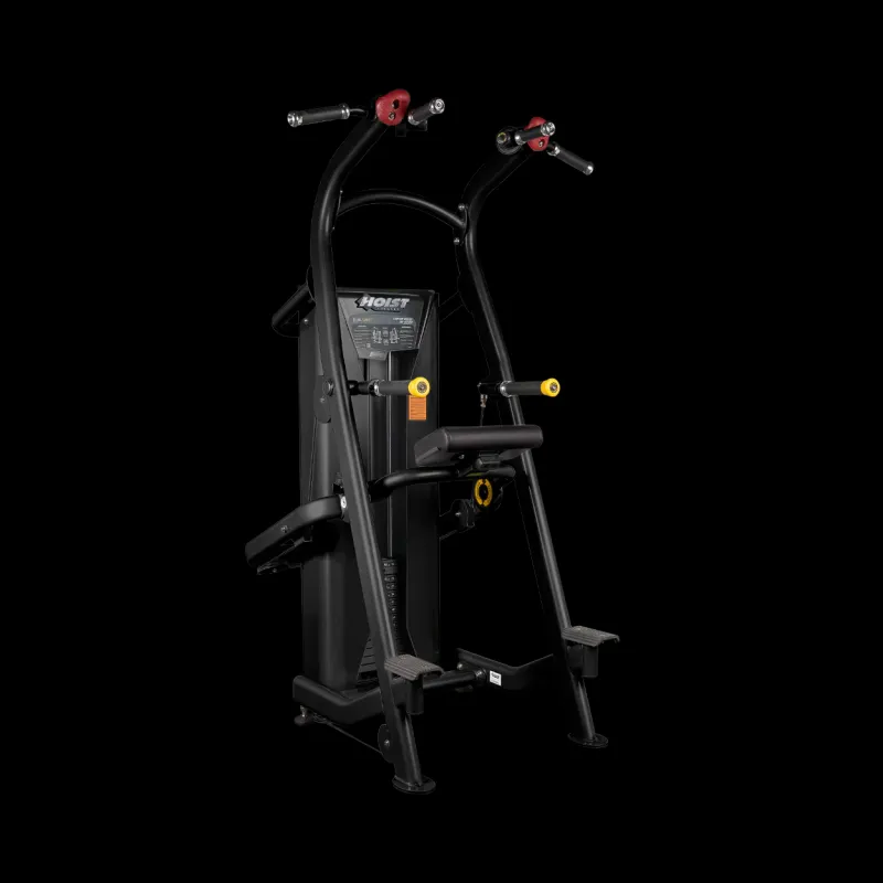 Corrosion-Resistant Hoist Fitness Chin/Dip Assist