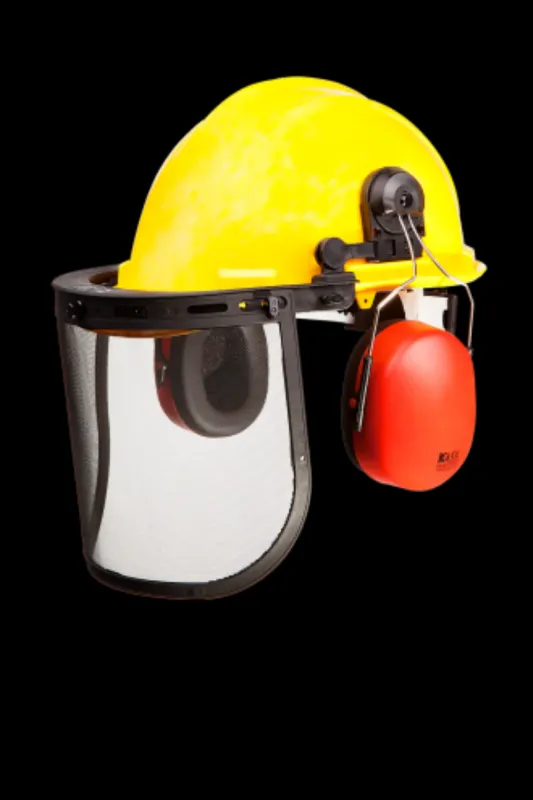 SIP Protection Forestry Helmet