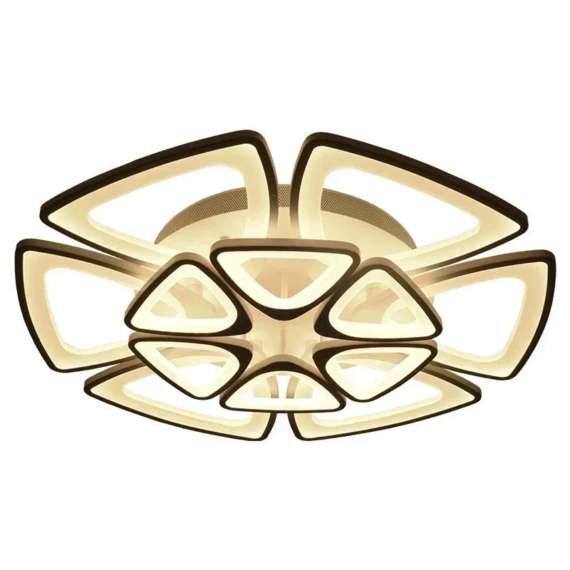 Afralia™ Geometric Petal Plexiglass Ceiling Lamp: Romantic Decor Living Room, Bedroom, Corridor | Multi-Color | Sound Ac...