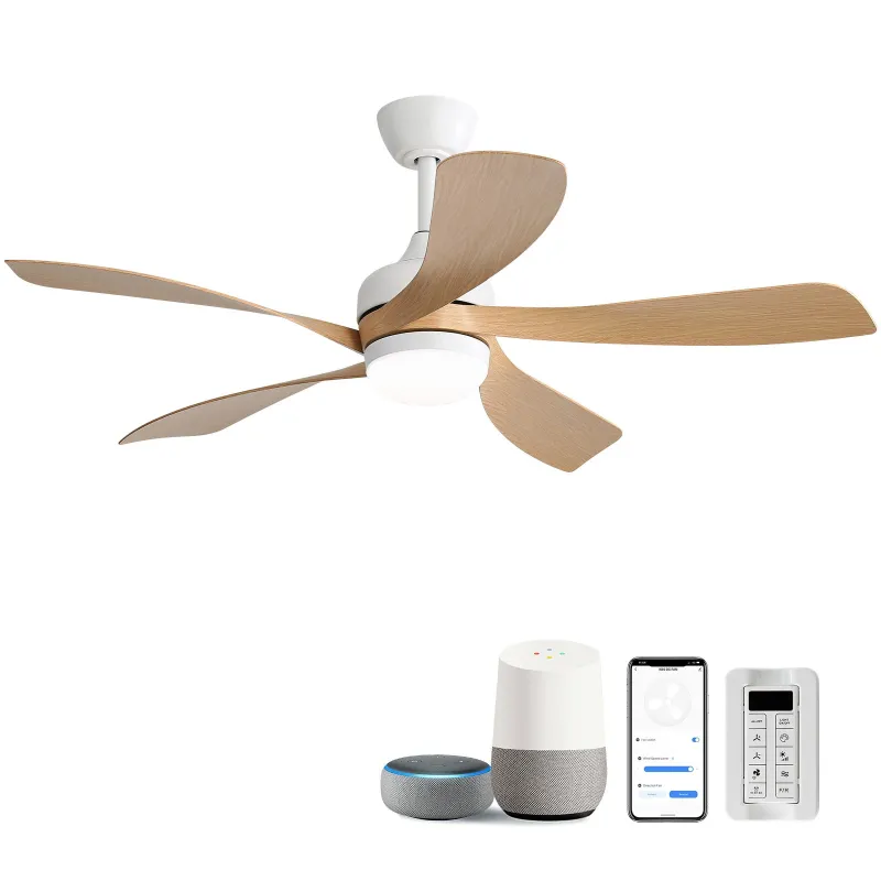 Ceiling Fan & DC Motor And Integrated Portable