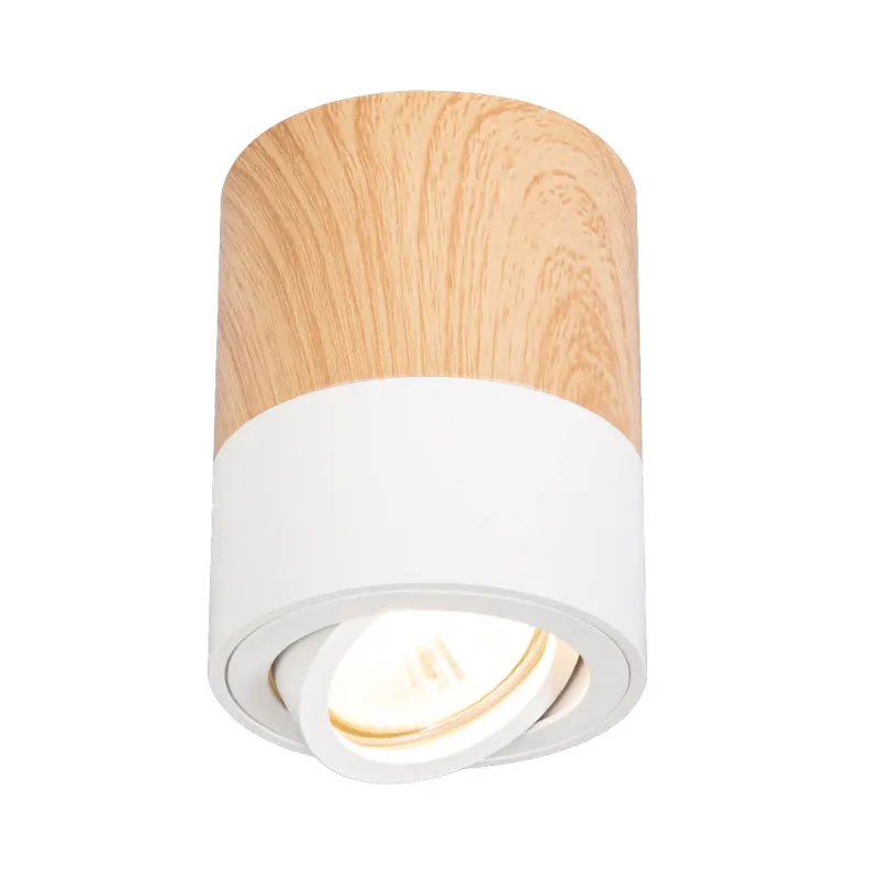 Round Ceiling Downlight (ETL Certified)