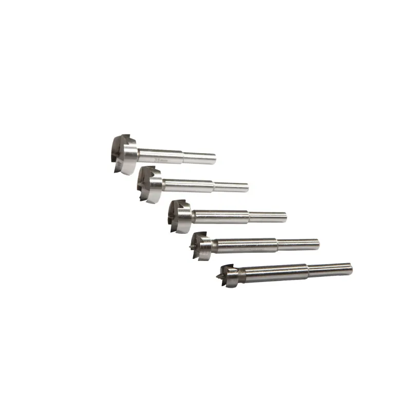 5 Piece Forstner Drill Bit Place