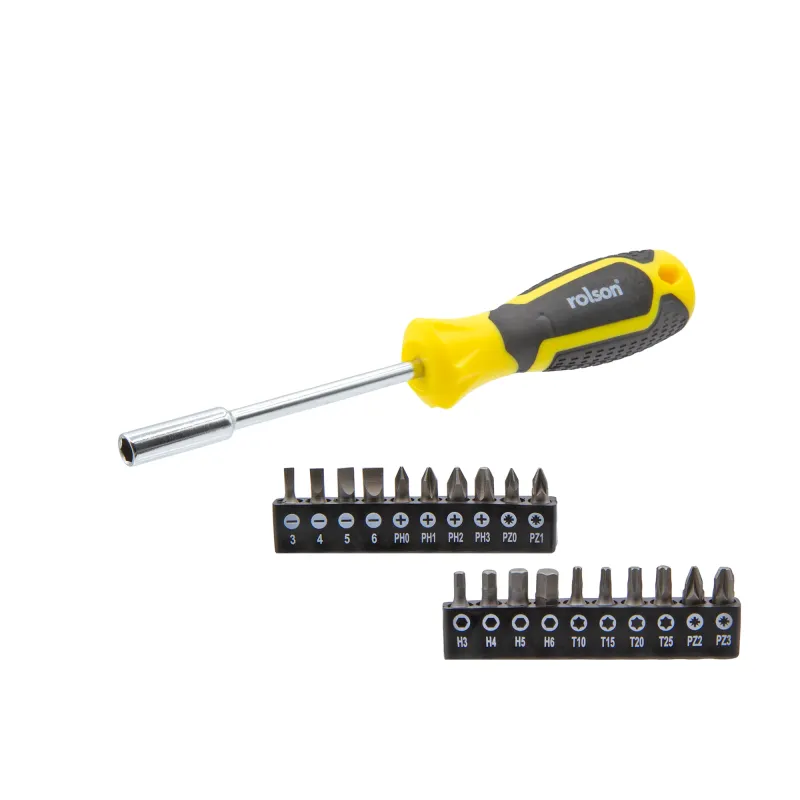 21 Piece Screwdriver Bit & Driver Adjust