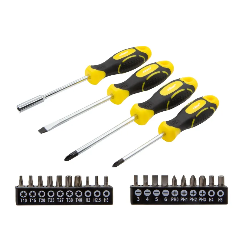 24 Piece Screwdriver Bit & Driver Place