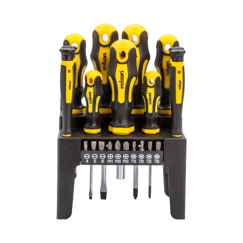 21 Piece Screwdriver & Bit Place