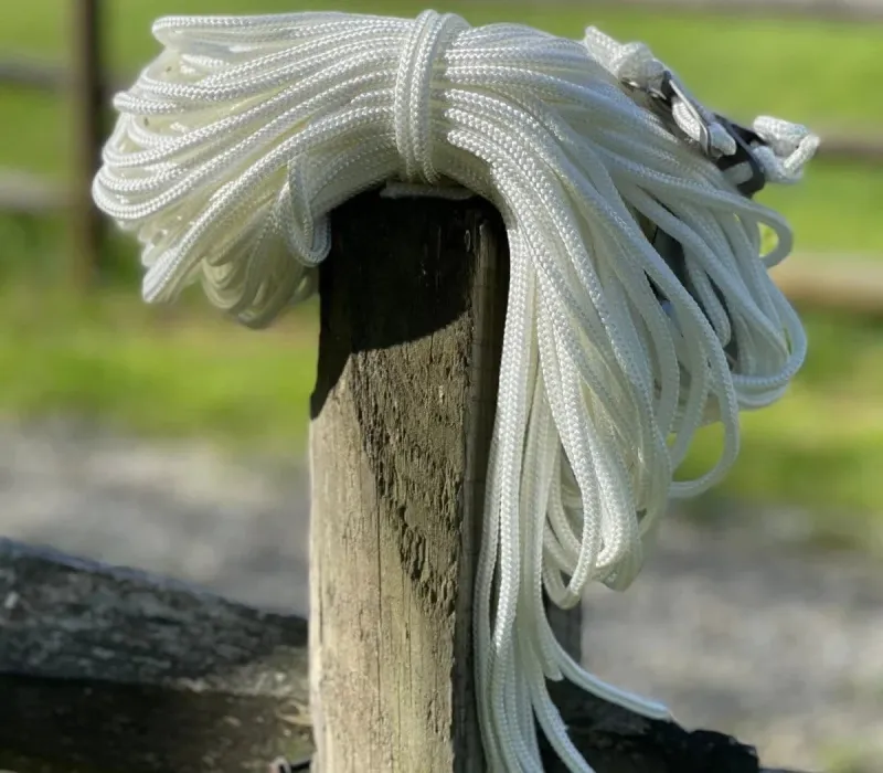 Life InTents Guy Line Rope Place | Set 12 or 14