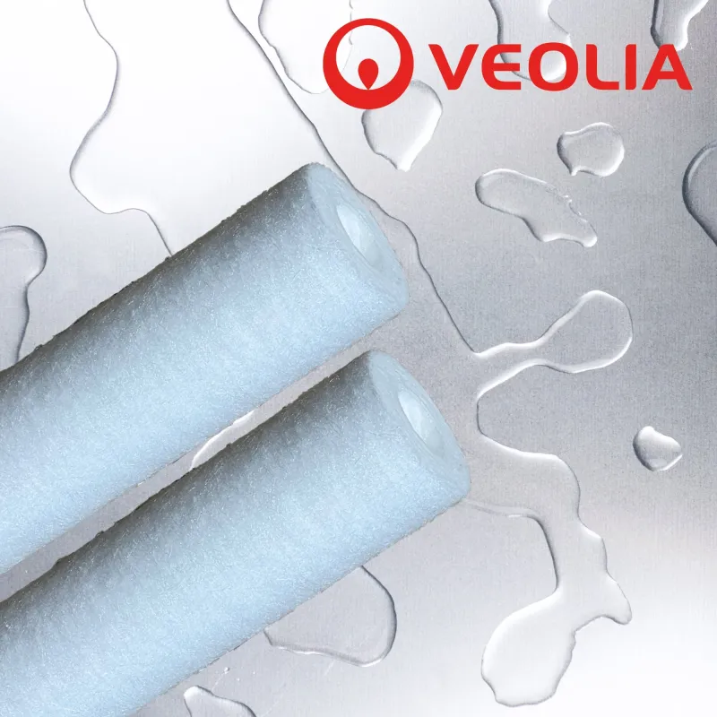 Veolia PX Purtrex Filter Cartridge 10"