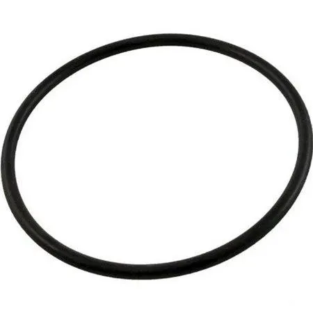 Waterway Crystal Water Cartridge Filter Parts 805-0233