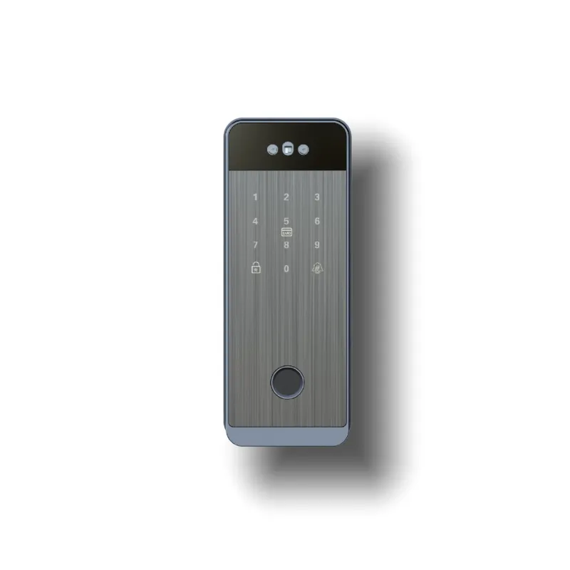 Wi-fi Glass Door Lock Compatible Alexa