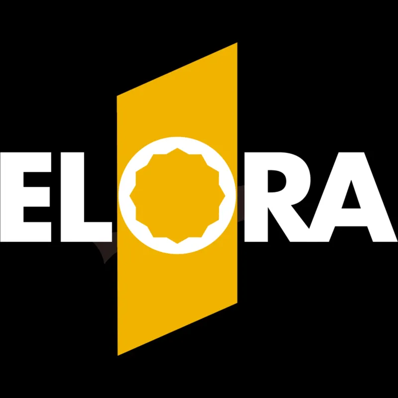 Elora 21mm BI-HEX Socket 3/8"Drive - 25979