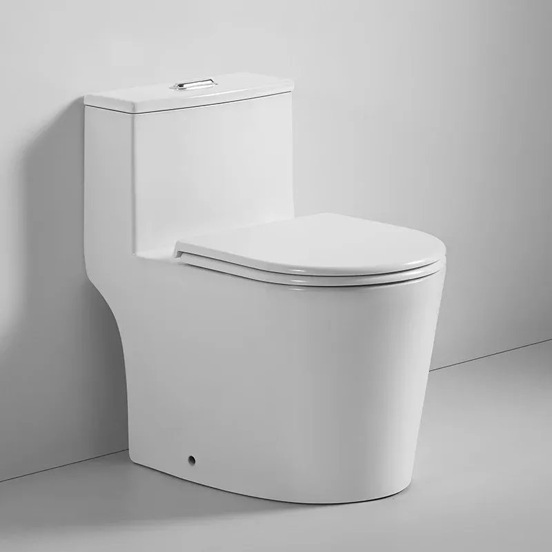 one piece toilet cb.12.0057