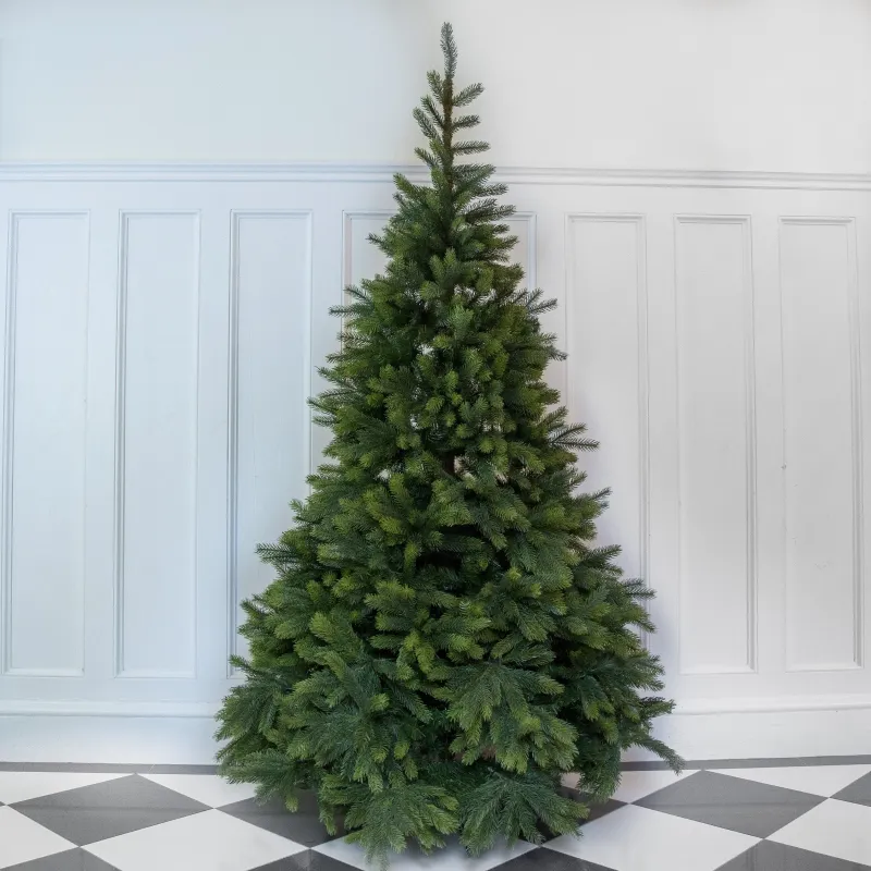 7ft Icelandic Pinewood Christmas Tree