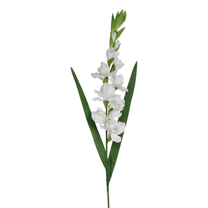 Alabaster Gladioli Flower Stem