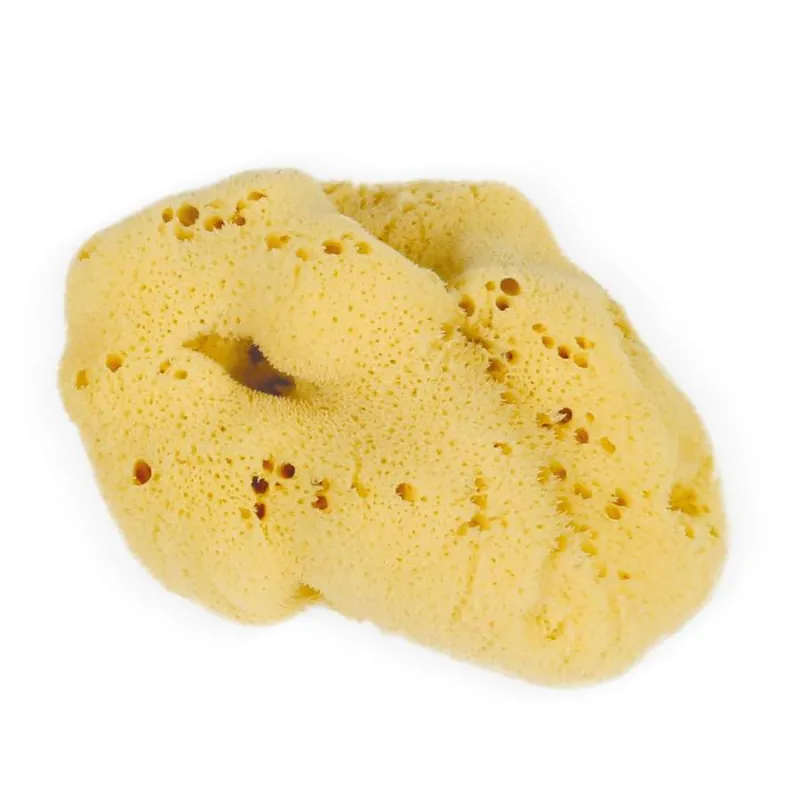 Authentic Sea Sponges