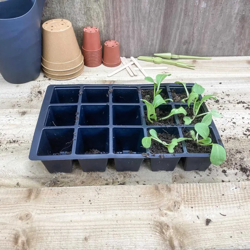 Bosmere 15 Cell Inserts x 5