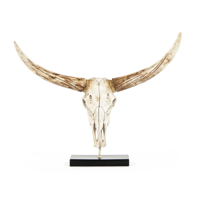 Bull Skull w/ Base SHI010
