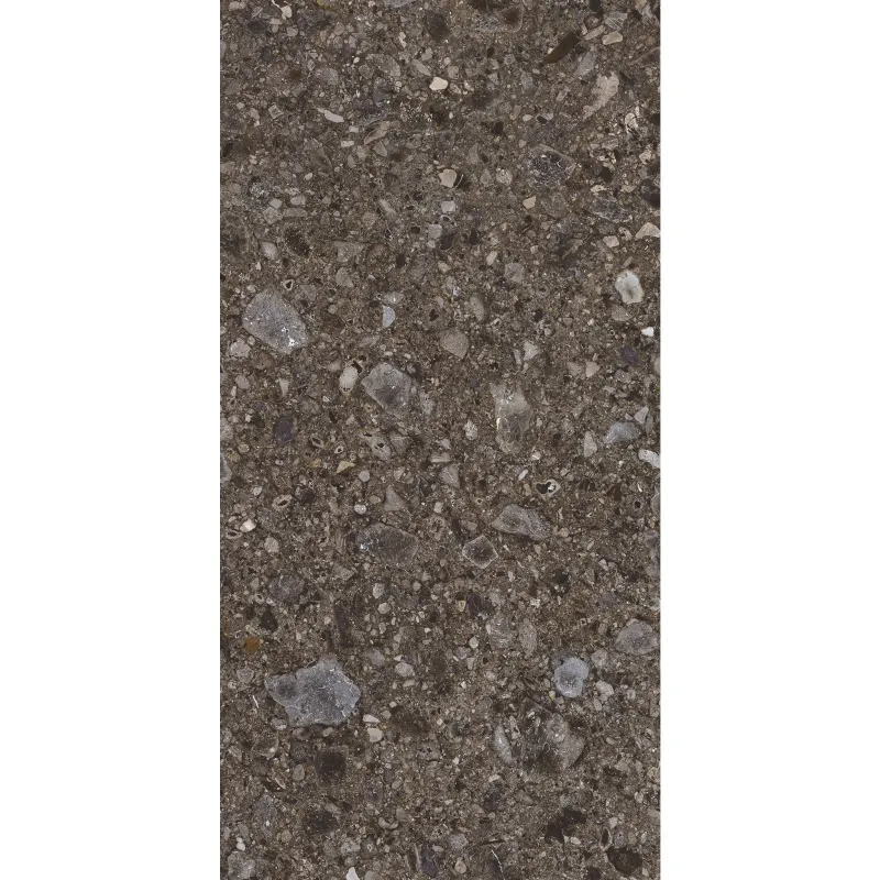 Carrelage Terrazzo 60x120 Ceppo Nuovo Ebony Naturel Rectifie