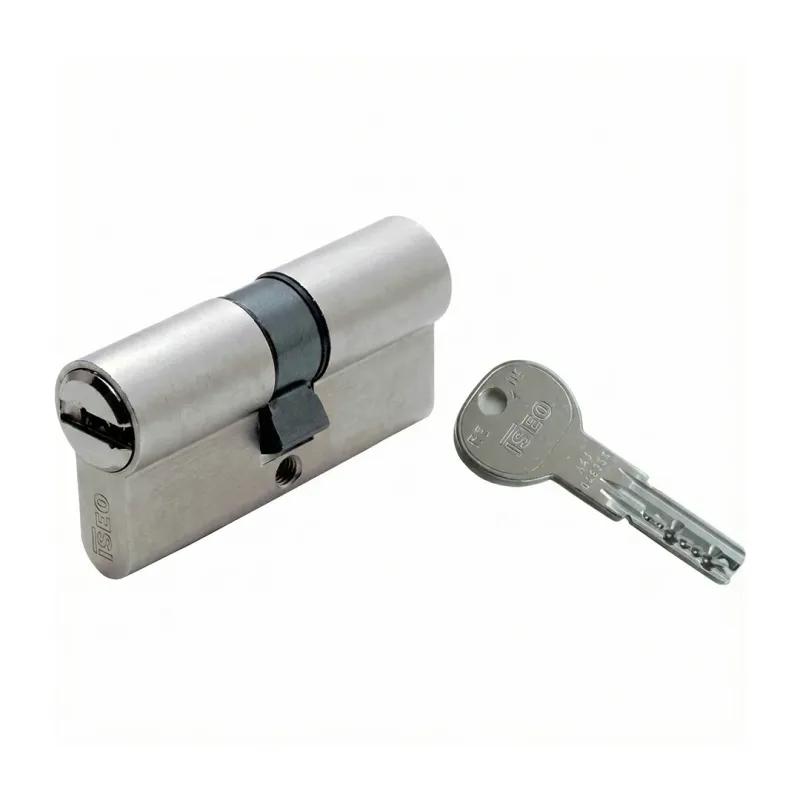 Cilindro ISEO R6 Plus Sagomato 60 mm (30+30) 6 Perni Ottone Satinato