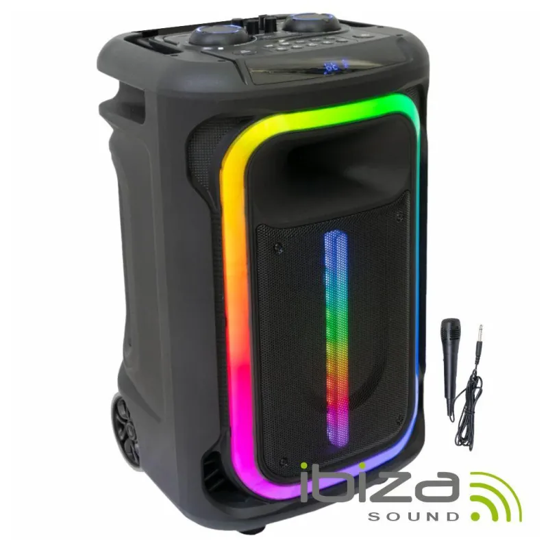 Coluna Amplificada Ibiza 800W Storage Case