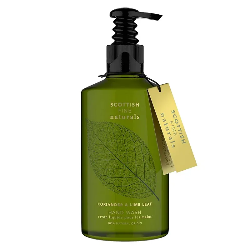 Coriander & Lime Leaf Hand Clean 300ml