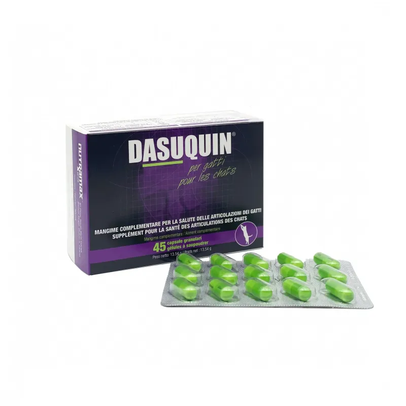 Dasuquin DIY Projects