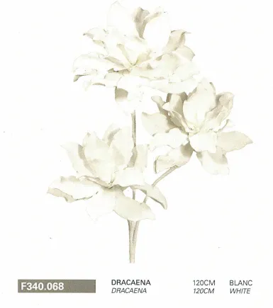 Dracaena 120cm BLANC
