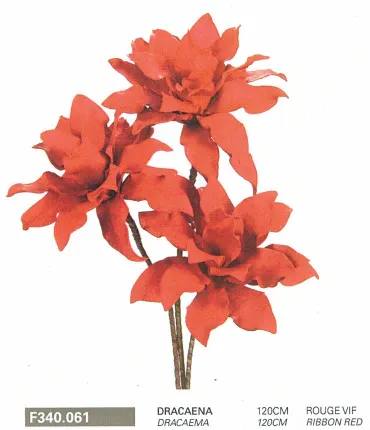 Dracaena 120cm ROUGE