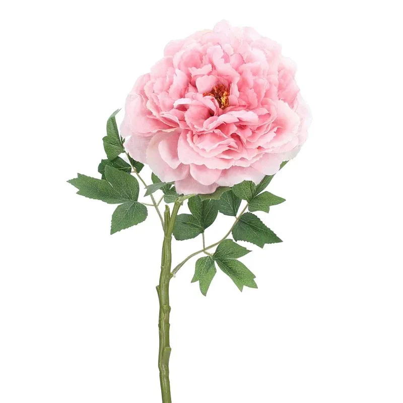 Dusky Salmon Frilly Peony Flower Stem Drywall Installation