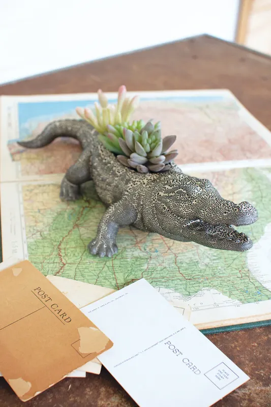 Earthenware alligator planter Kit Accessories