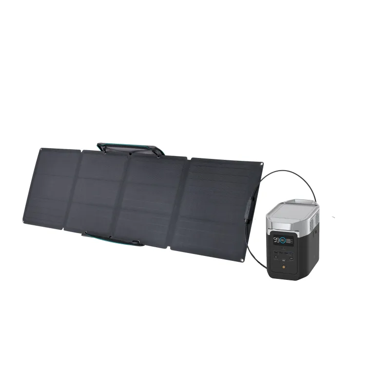 EcoFlow DELTA 2 + 110W Solar Panel