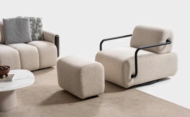 Ergonomic Design Joop Armchair