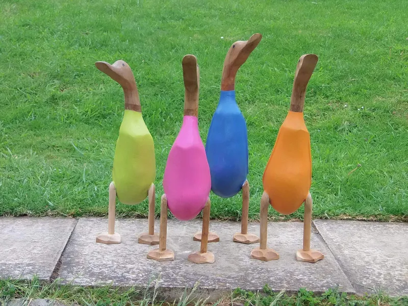 Generous colourful ducks