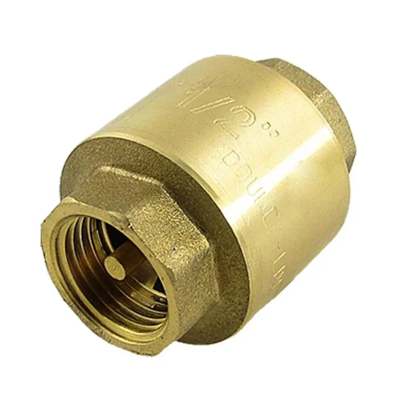 Heavy Duty 1" Non Return Valve - Spring