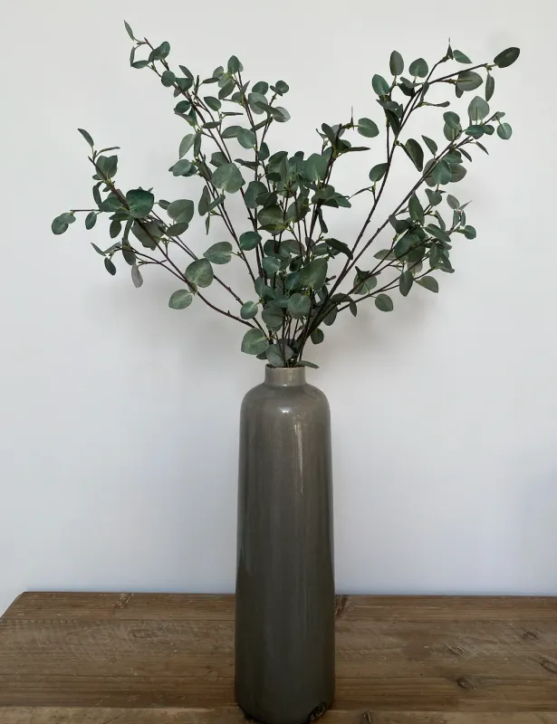 High Eucalyptus Stem