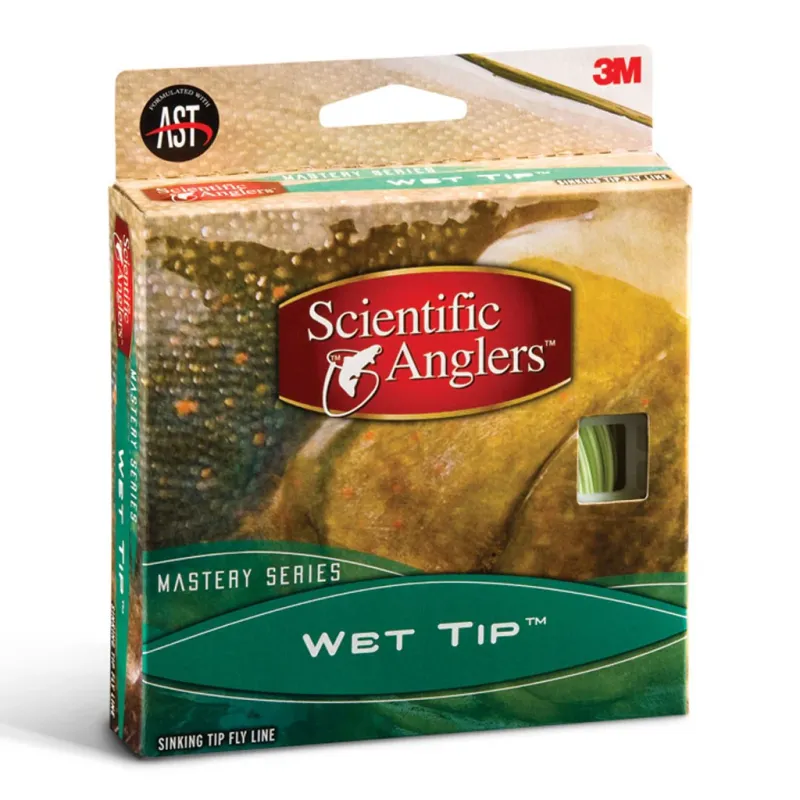 High Precision Mastery pointe plongeante