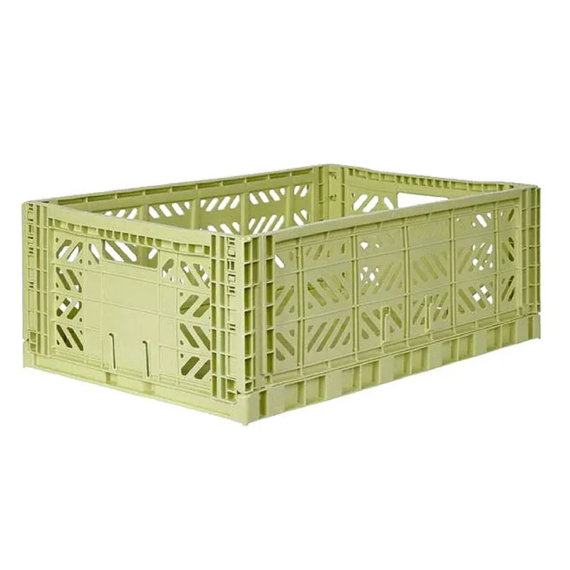 Impact Ready Caixa grande lime cream