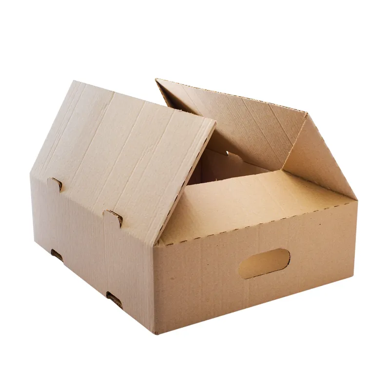 Impact Ready Scatola per Consegne Domicilio Chiusa Impilabile