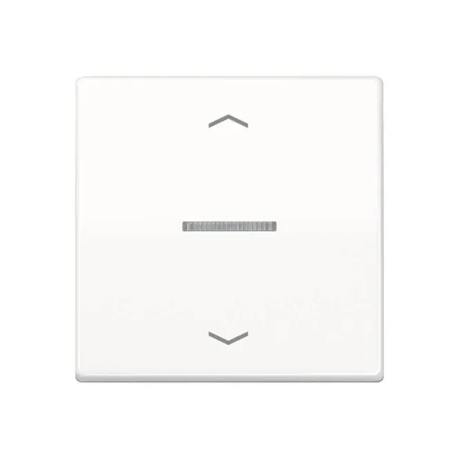 Jung JUNG HOME Taster 1fach BTA17101PWW m.Pfeilsymbolen